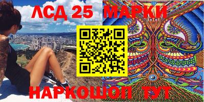меф Гатчина