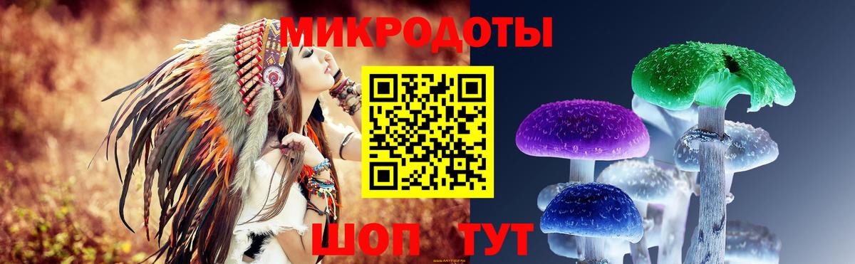 Галлюциногенные грибы мухоморы Будённовск