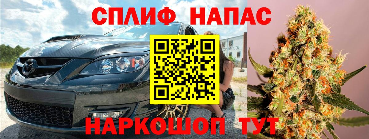 ГАШ Будённовск